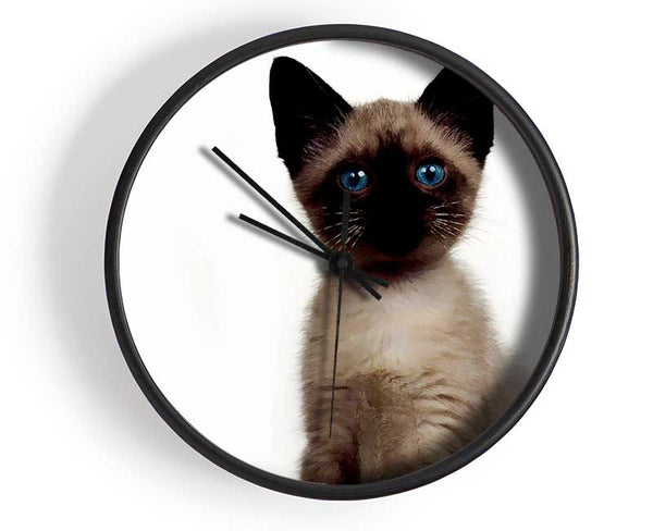 Kitten Mischief Clock - Wallart-Direct UK