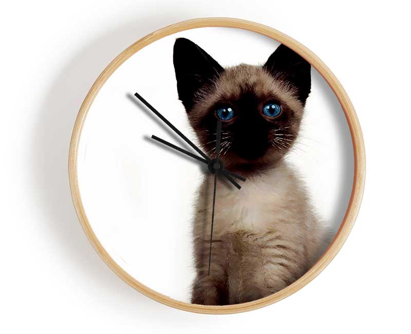 Kitten Mischief Clock - Wallart-Direct UK