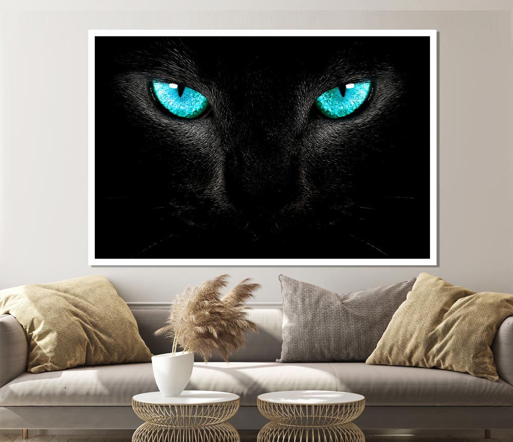 Blue Eyes Cat Print Poster Wall Art