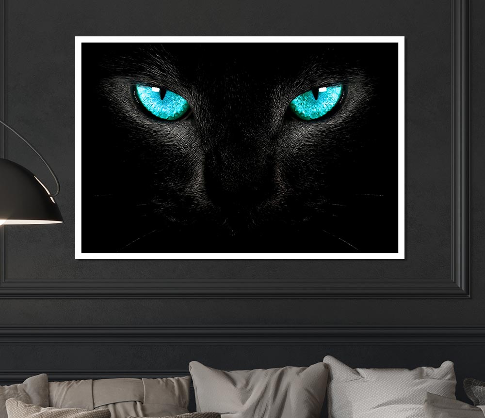 Blue Eyes Cat Print Poster Wall Art