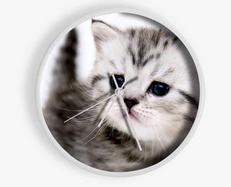 Kitty Cat Clock - Wallart-Direct UK