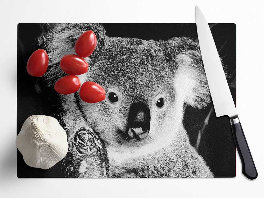 Koala Bear Glass Chopping Board