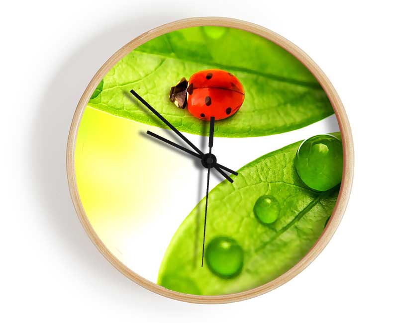 Ladybird Clock - Wallart-Direct UK