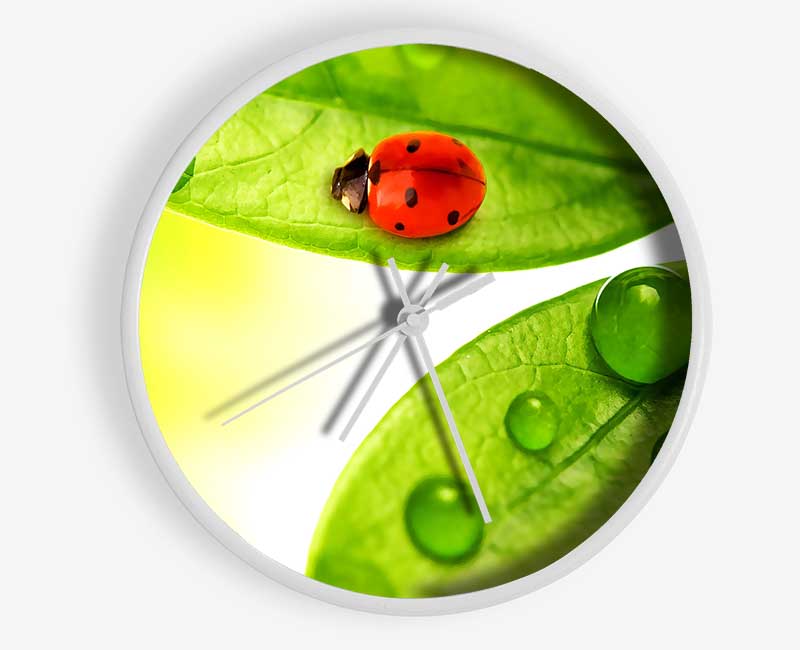 Ladybird Clock - Wallart-Direct UK