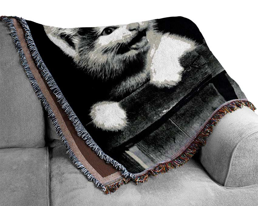 Laughing Kittens Woven Blanket