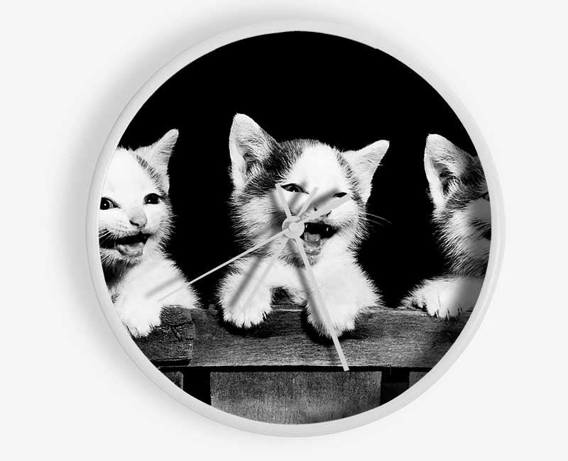 Laughing Kittens Clock - Wallart-Direct UK