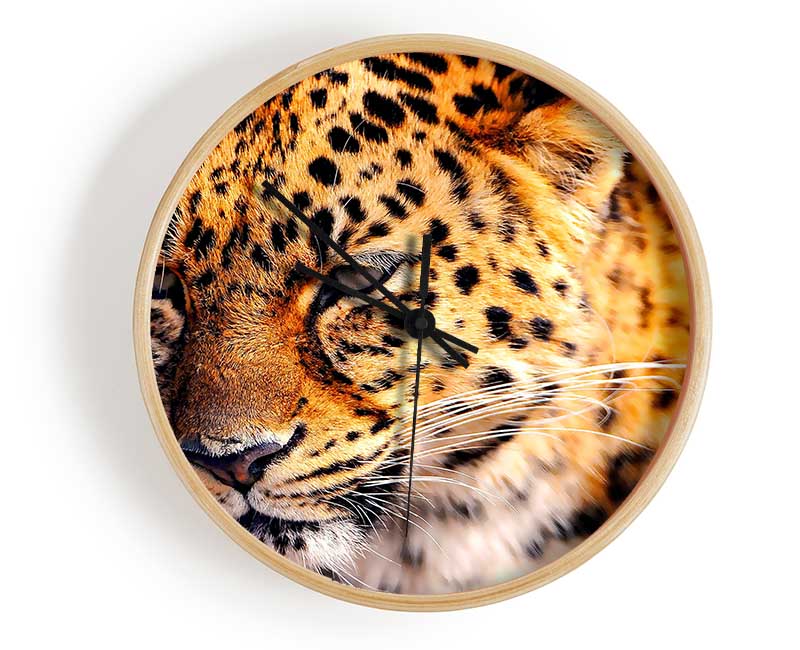 Leopard Close Up Clock - Wallart-Direct UK