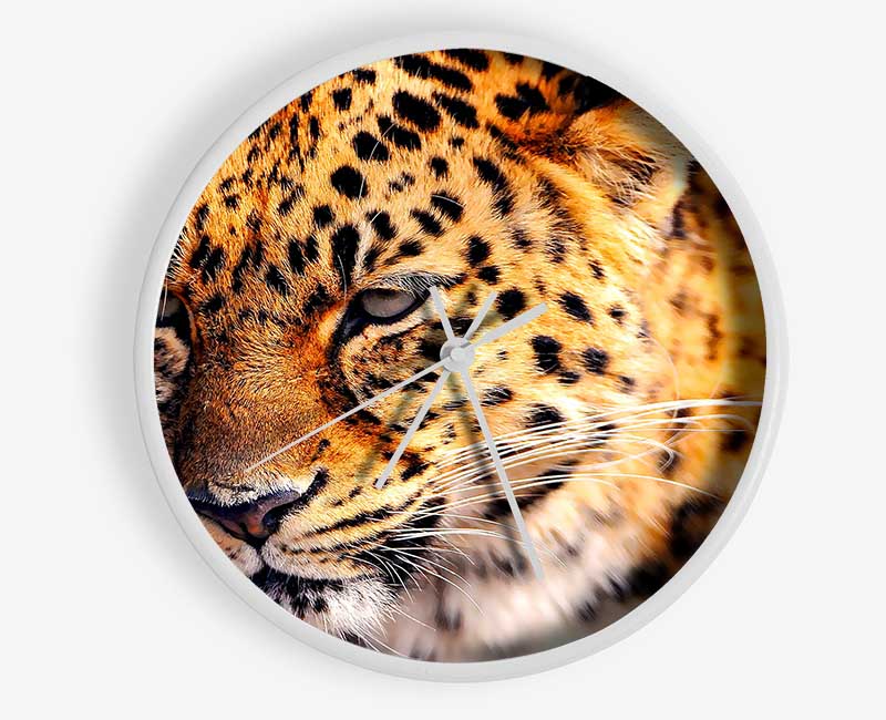 Leopard Close Up Clock - Wallart-Direct UK