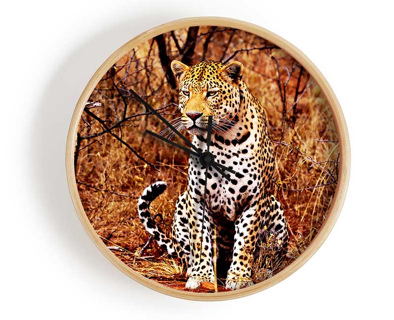 Leopard Hunt Clock - Wallart-Direct UK