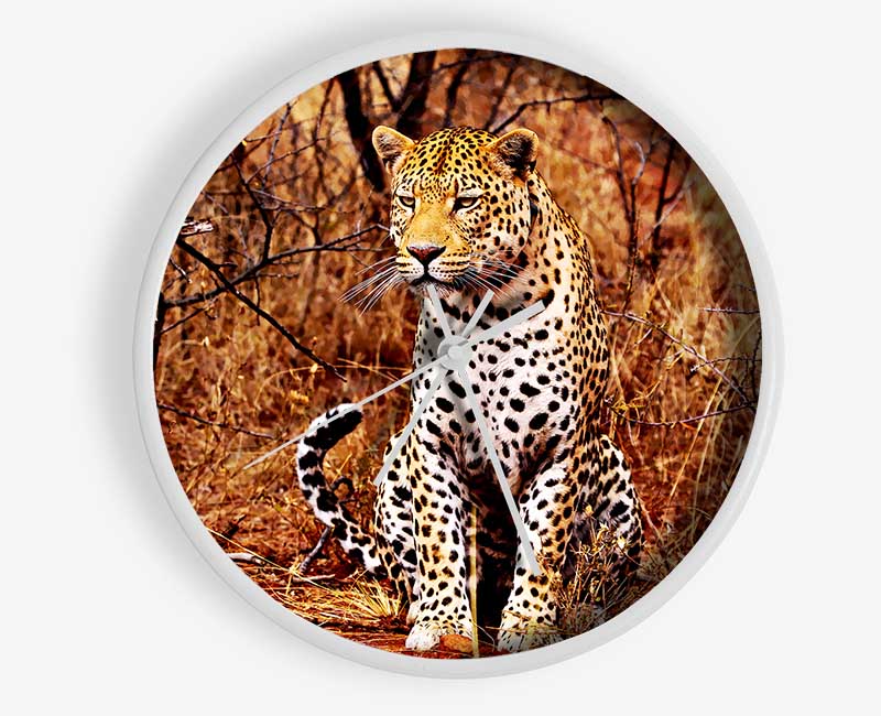 Leopard Hunt Clock - Wallart-Direct UK