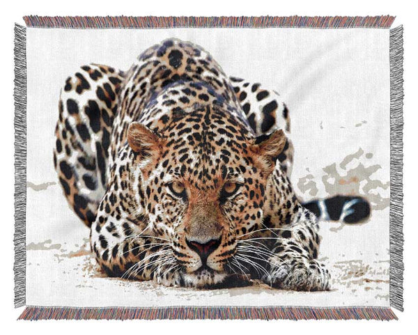 Leopard Staring Woven Blanket