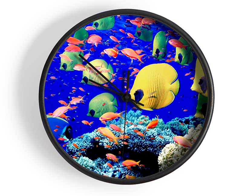 Life Below The Red Sea Egypt Clock - Wallart-Direct UK