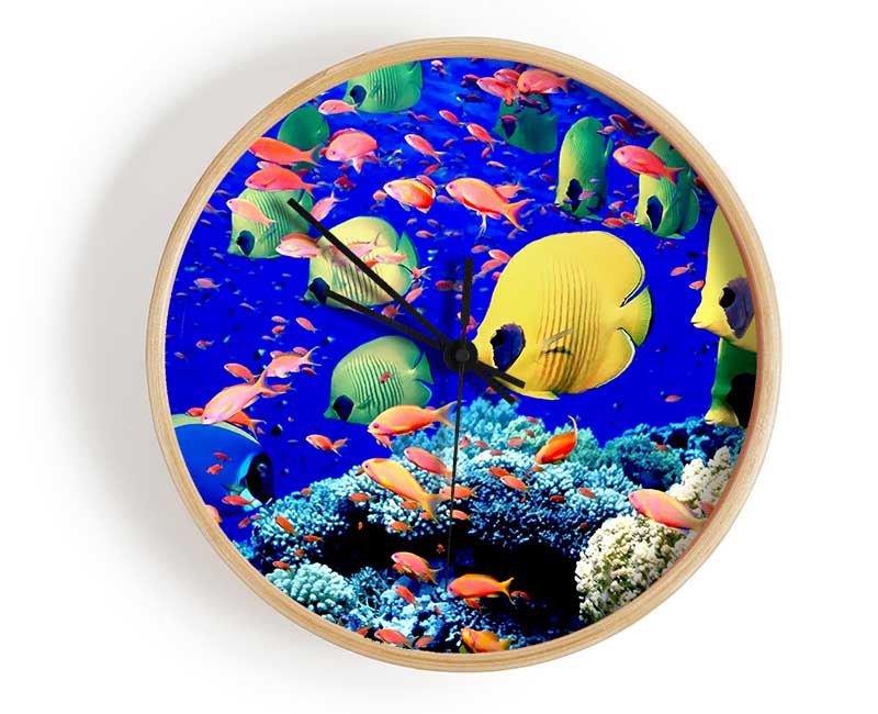 Life Below The Red Sea Egypt Clock - Wallart-Direct UK