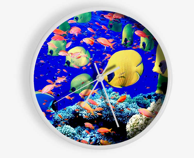 Life Below The Red Sea Egypt Clock - Wallart-Direct UK