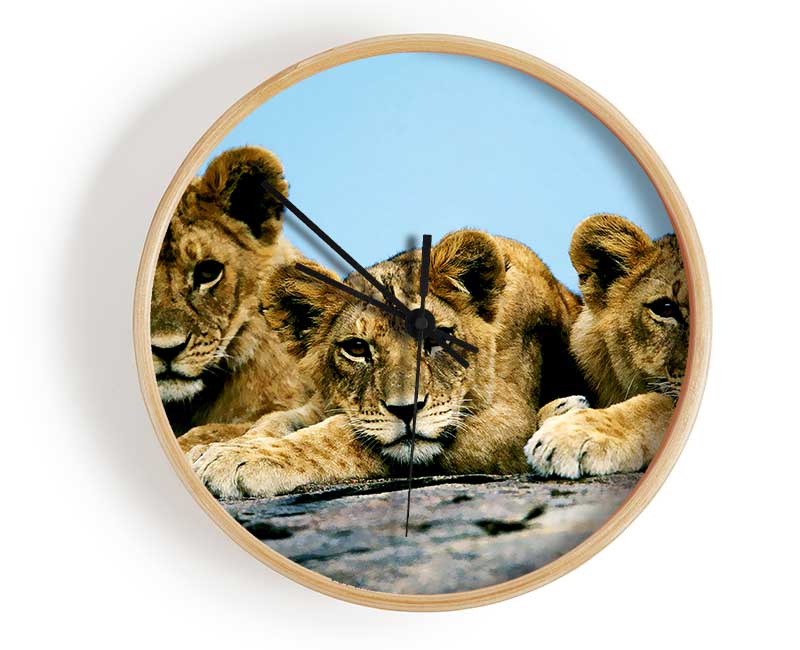 Lion Cub Trio Clock - Wallart-Direct UK