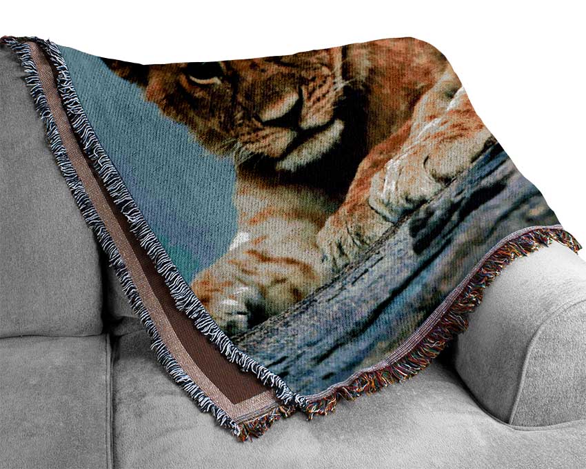 Lion Cub Trio Woven Blanket