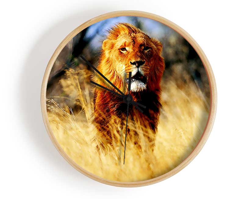 Lion Jungle Clock - Wallart-Direct UK