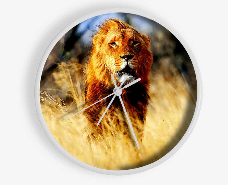 Lion Jungle Clock - Wallart-Direct UK