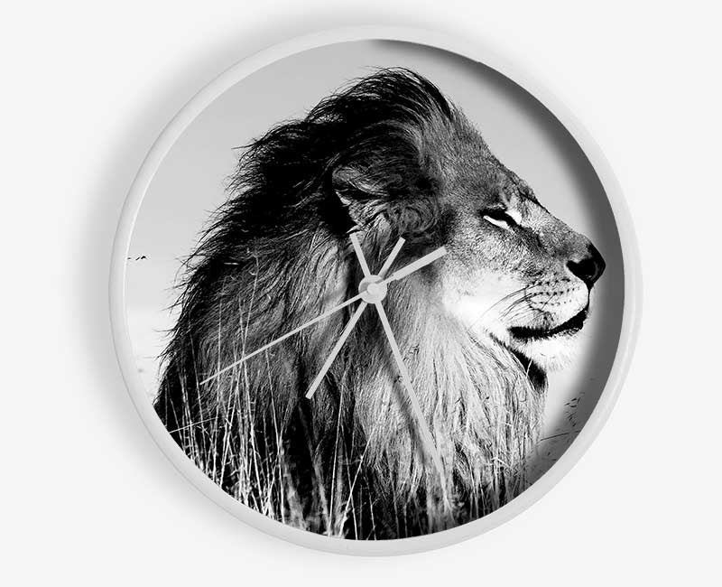 Lion On Watch Black n White Clock - Wallart-Direct UK