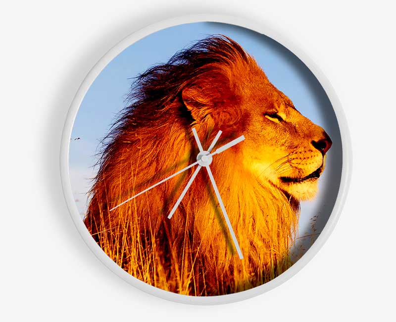 Lion On Watch Clock - Wallart-Direct UK