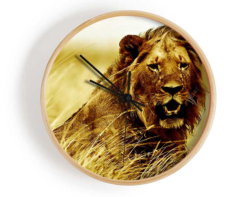 Lion Watching Out For Dinner Clock - Wallart-Direct UK