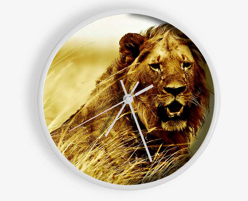 Lion Watching Out For Dinner Clock - Wallart-Direct UK