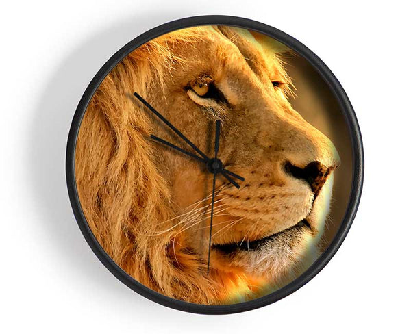 Lion Clock - Wallart-Direct UK