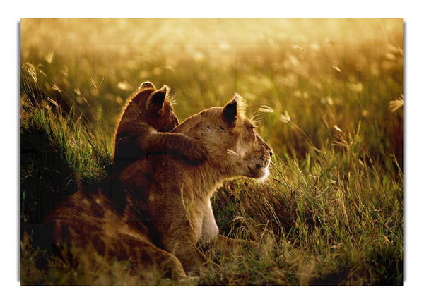 Lioness And Cub