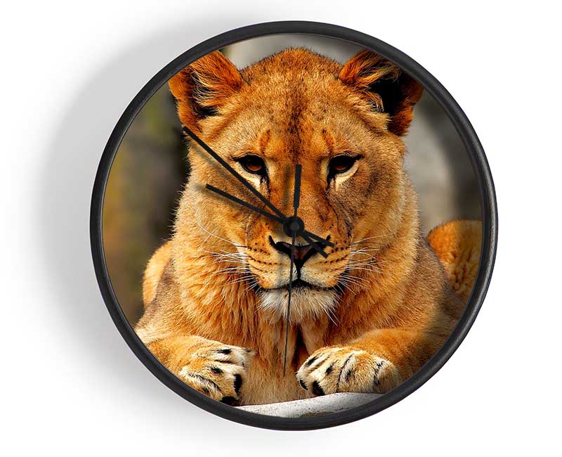 Lioness Watch Clock - Wallart-Direct UK