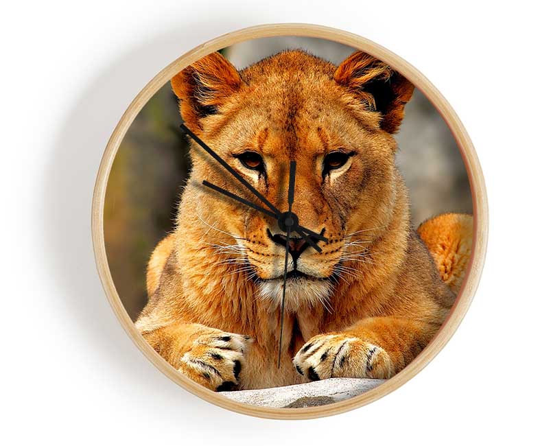 Lioness Watch Clock - Wallart-Direct UK