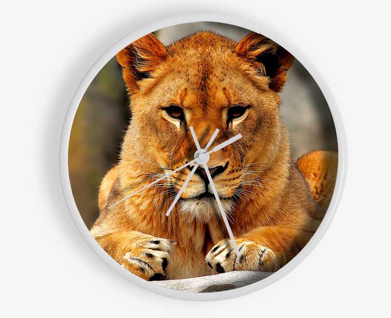 Lioness Watch Clock - Wallart-Direct UK