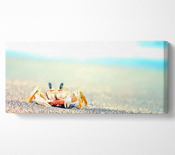 Lonely Crab