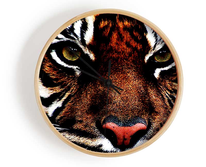 Male Tiger Face Clock - Wallart-Direct UK