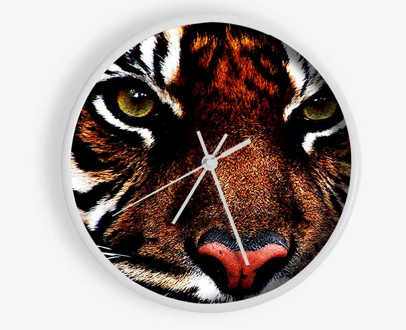 Male Tiger Face Clock - Wallart-Direct UK