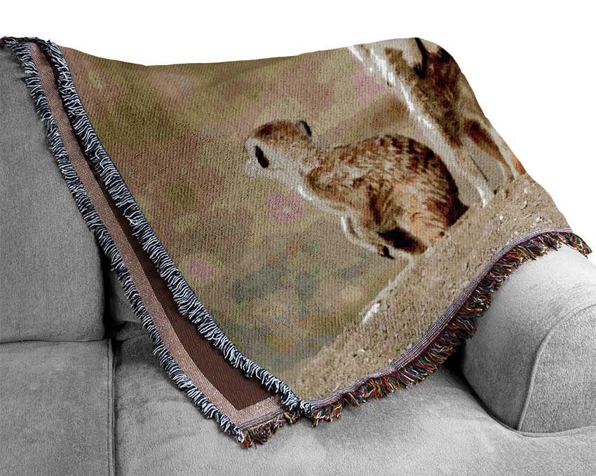 Meerkat Family Woven Blanket