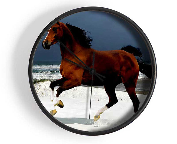 Ocean Horse Beauty Clock - Wallart-Direct UK