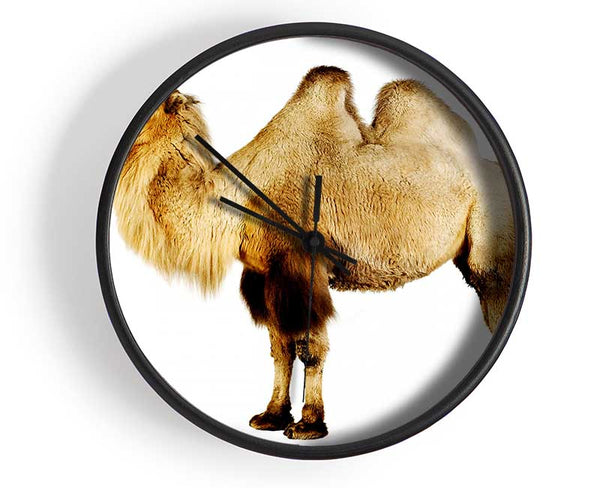 One Hump Or Two Clock - Wallart-Direct UK