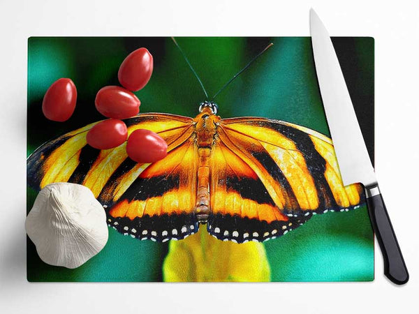 Orange And Black Butterfly Glass Chopping Board