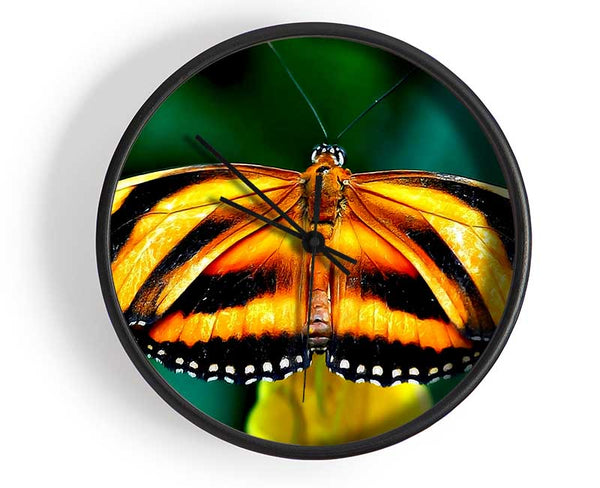 Orange And Black Butterfly Clock - Wallart-Direct UK