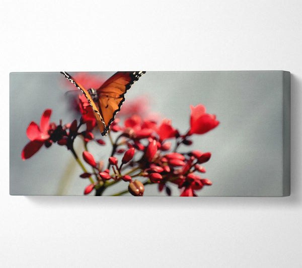 Orange Butterfly On Flower