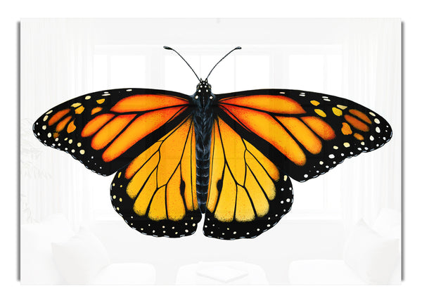 Orange Butterfly Wings