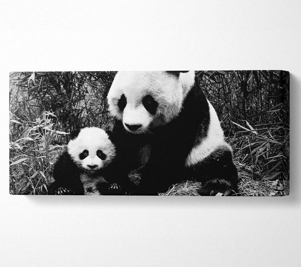 Panda Mother And Baby