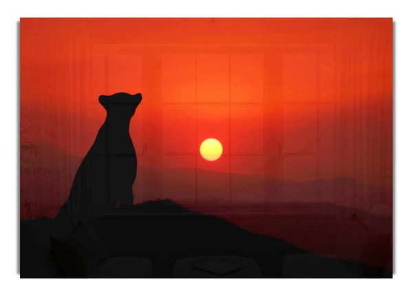 Panther Sunset