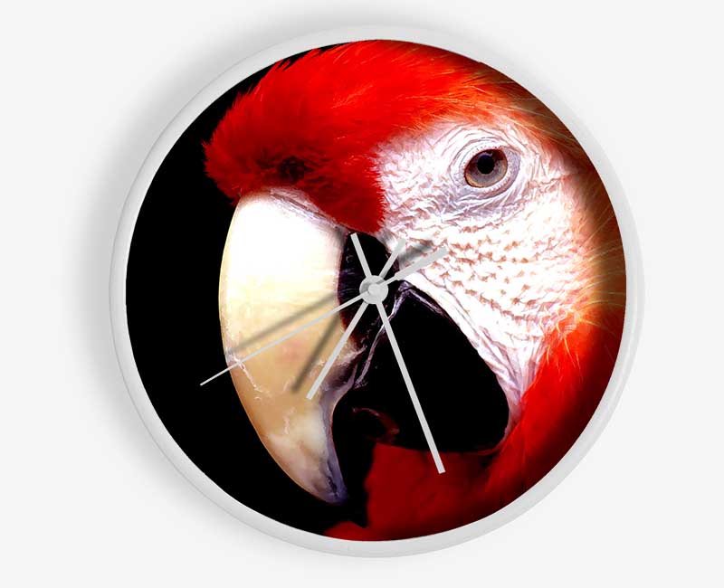 Parrot High Resolution Clock - Wallart-Direct UK