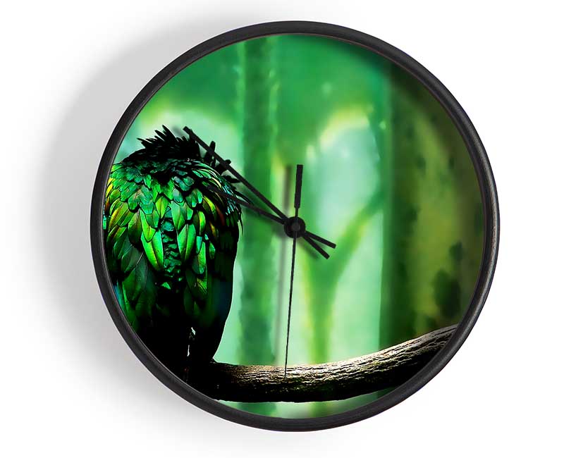 Parrot Perch Clock - Wallart-Direct UK