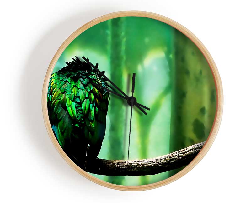 Parrot Perch Clock - Wallart-Direct UK