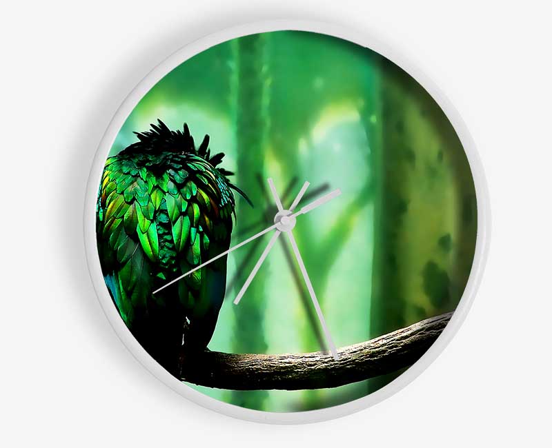 Parrot Perch Clock - Wallart-Direct UK