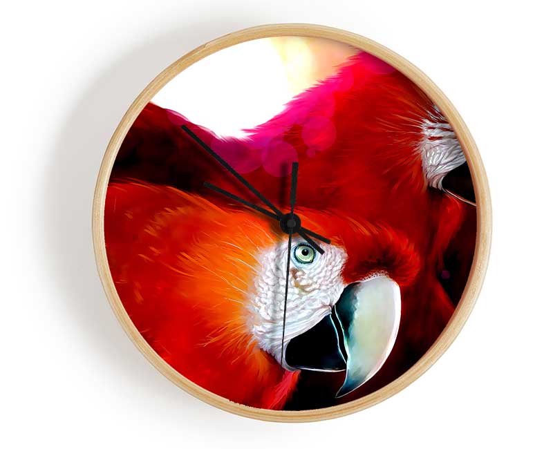 Parrots Clock - Wallart-Direct UK