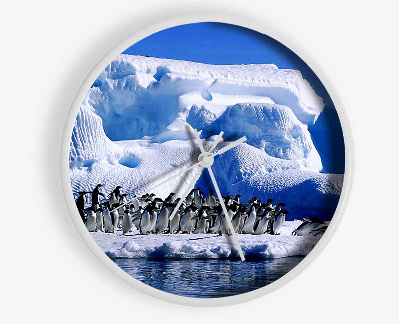 Penguins First Dive Clock - Wallart-Direct UK