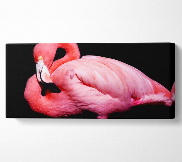 Pink Flamingo